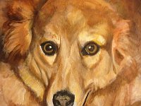 dixie 12x16 - Copy